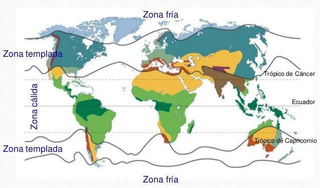 1º.3.Europa Y El Mundo.Relieve Y Bioclimas.